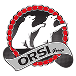 Orsi